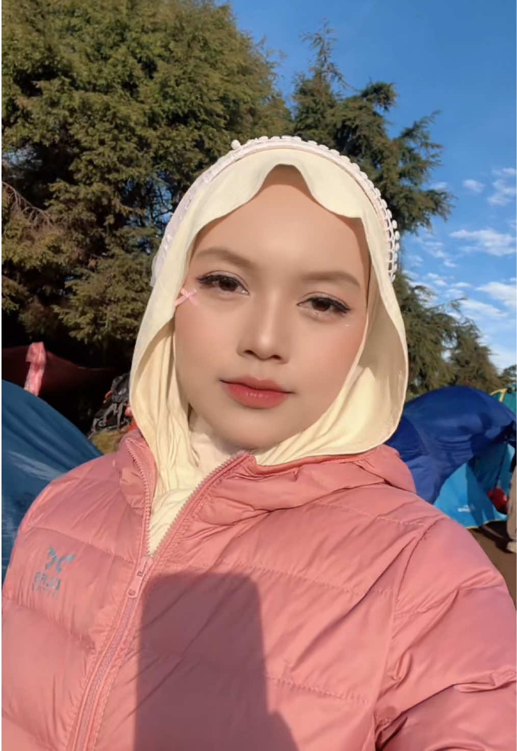 @ifall 𐙚˙⋆˙❀