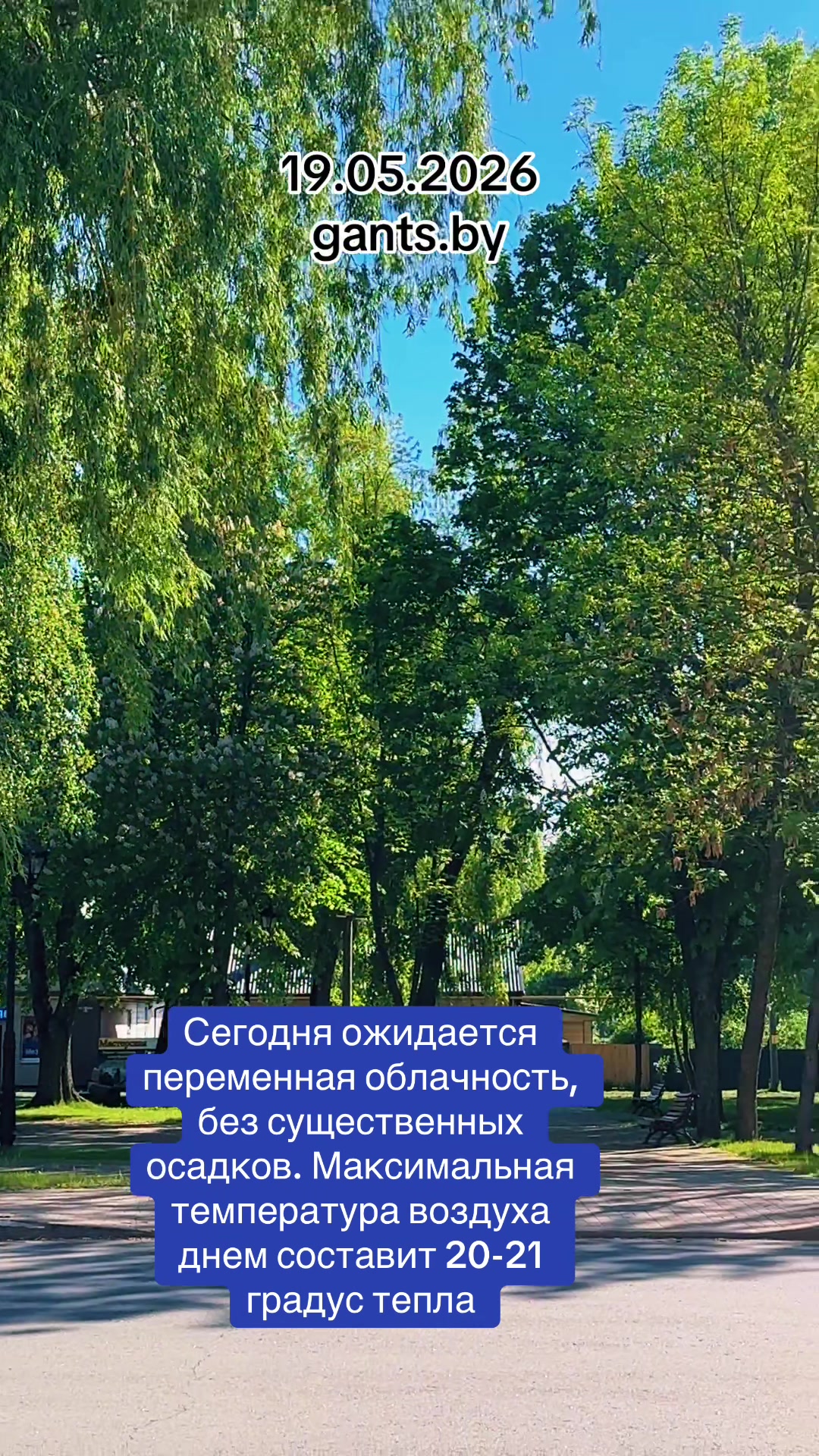 @Ганцавіцкі тыдзень