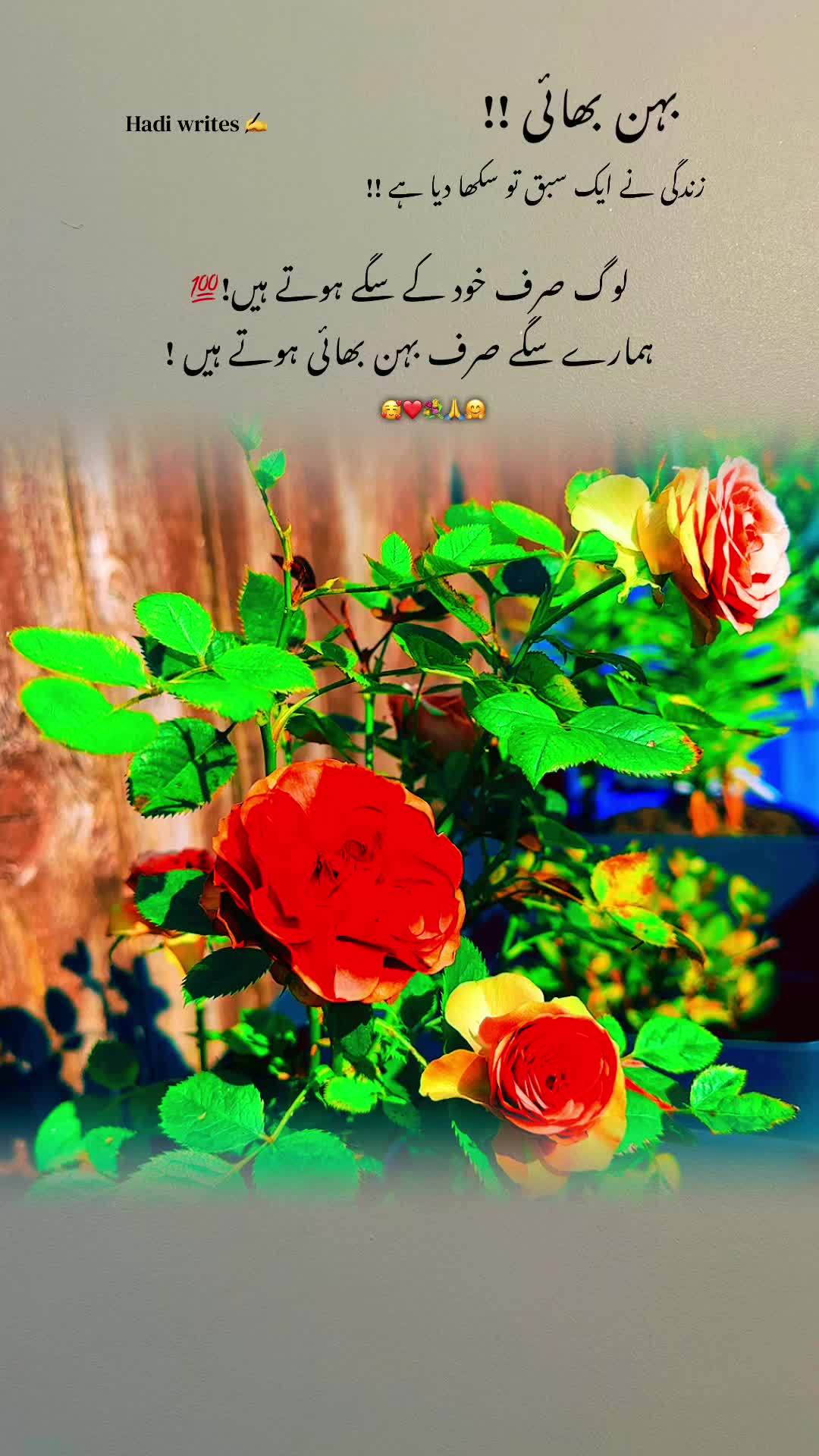 @Bhai Behen Quotes ✍️🥰🙏