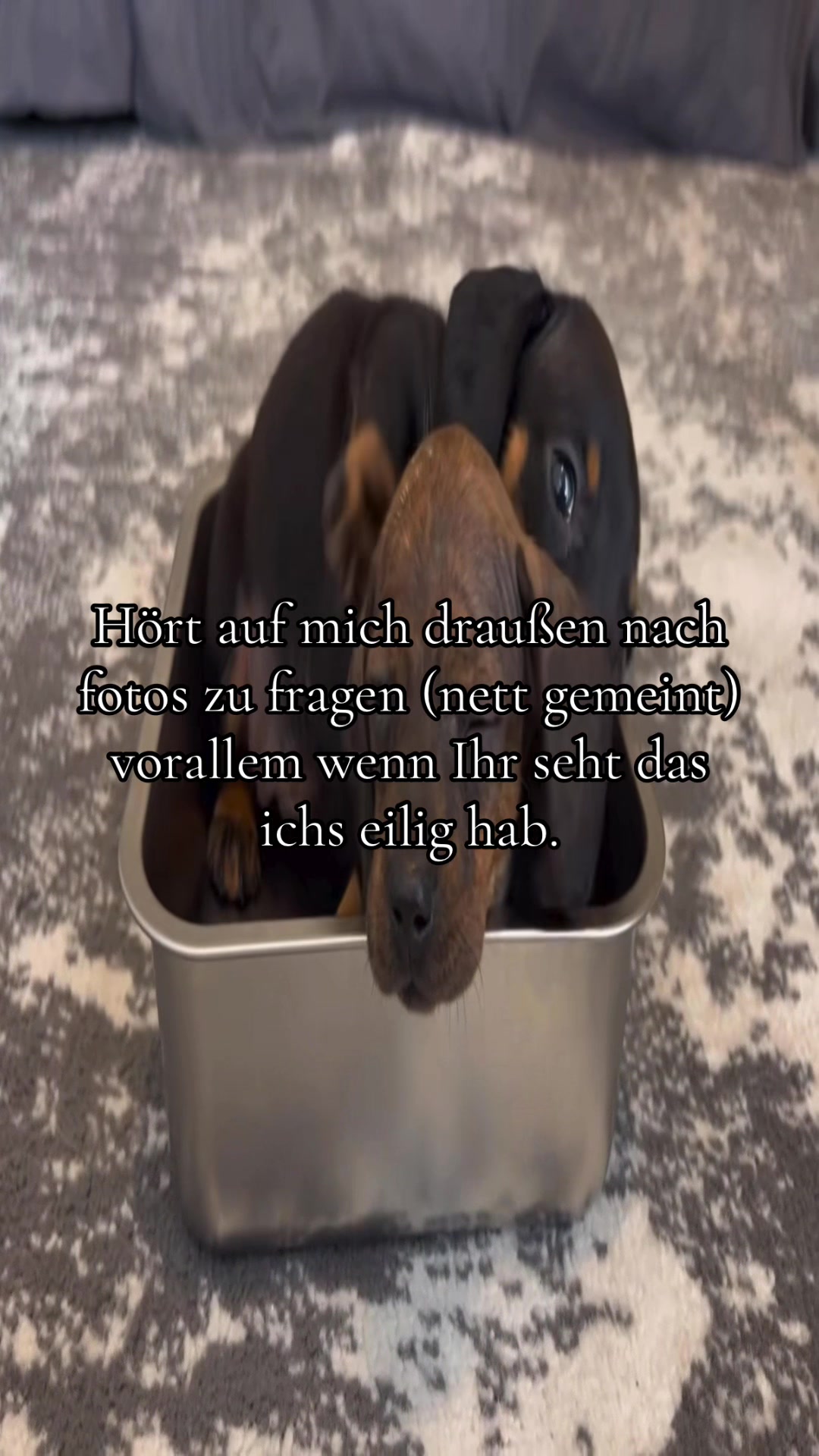 @Eierkopfsalat
