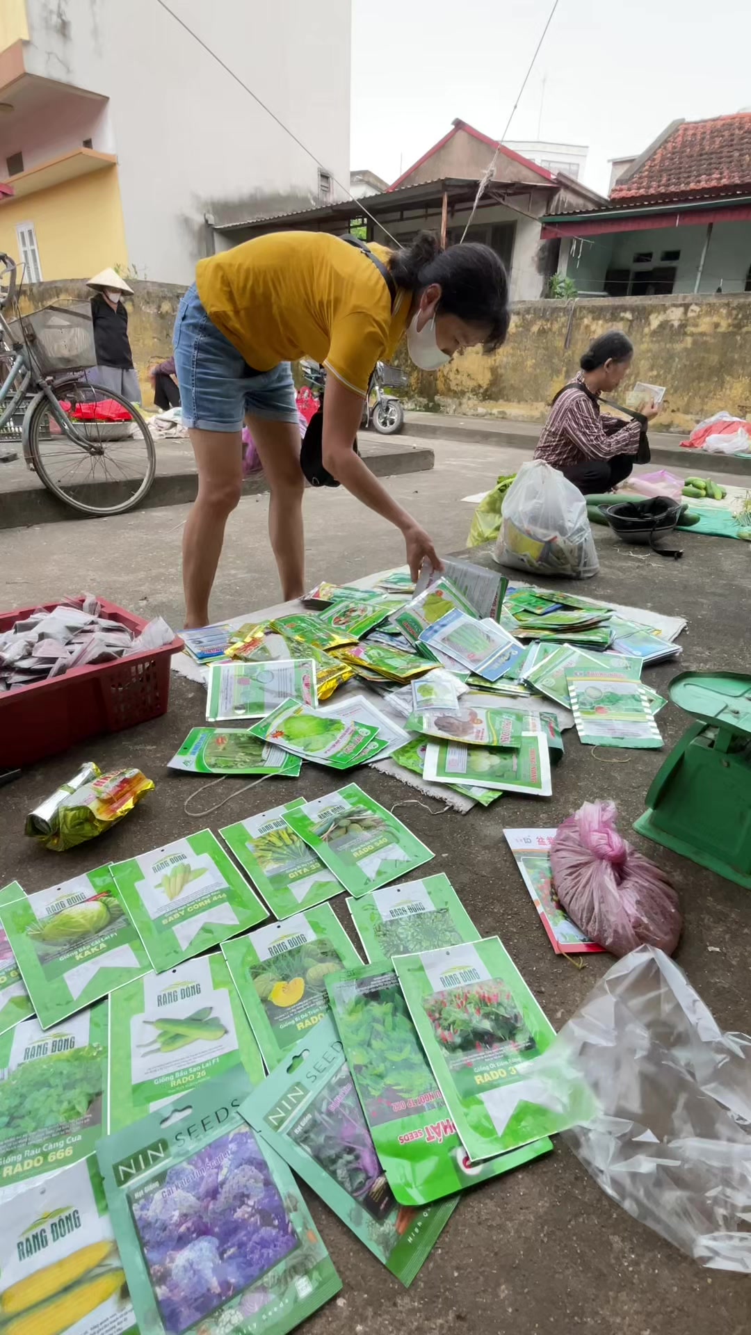 @Bán hạt giống
