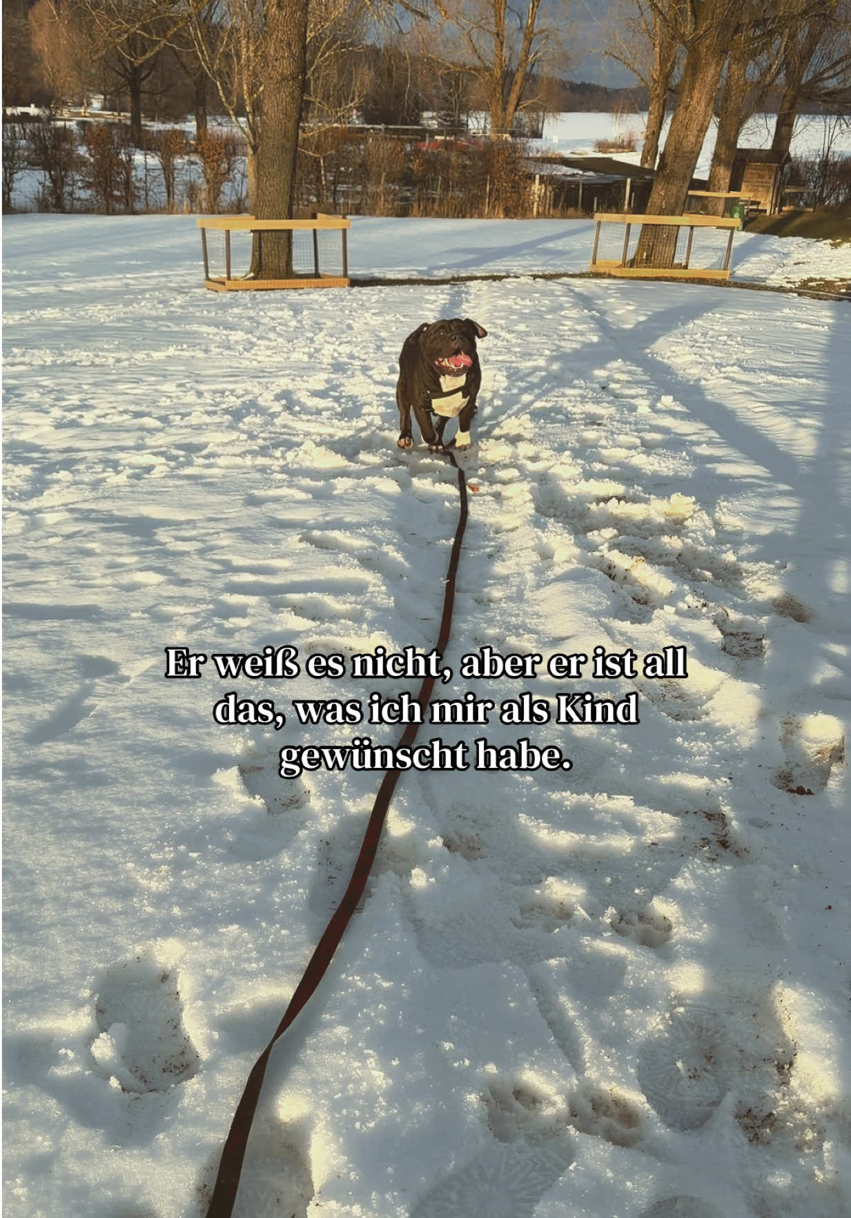 @🄿🄰🄲🄾