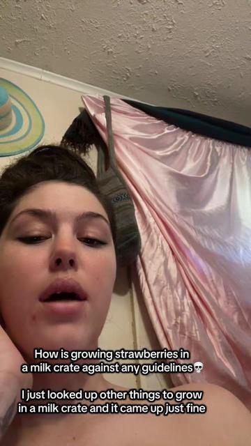 @🍄