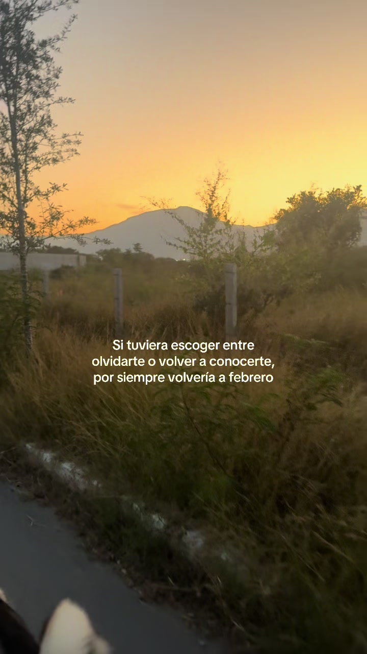 @patata
