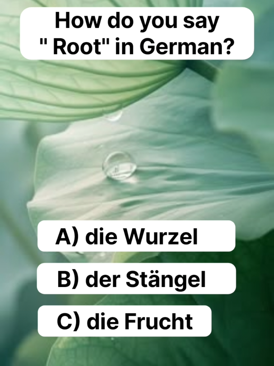 @GermanEnglish
