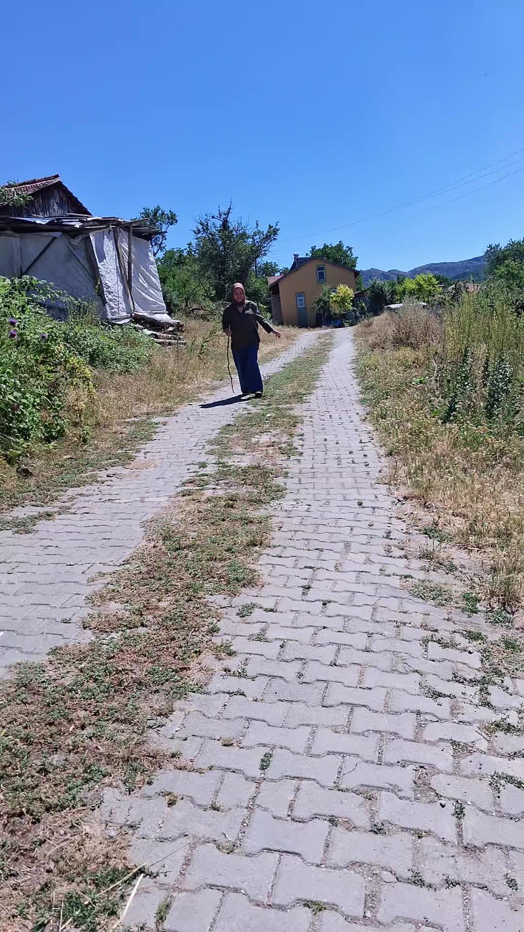 @ozi