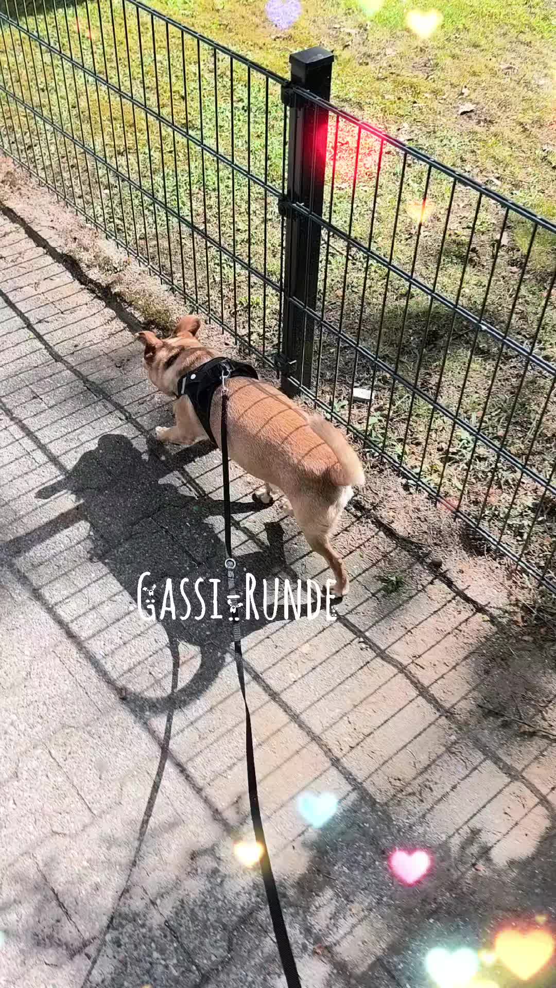 @❤️Kathi❤️Milow🐕❤️