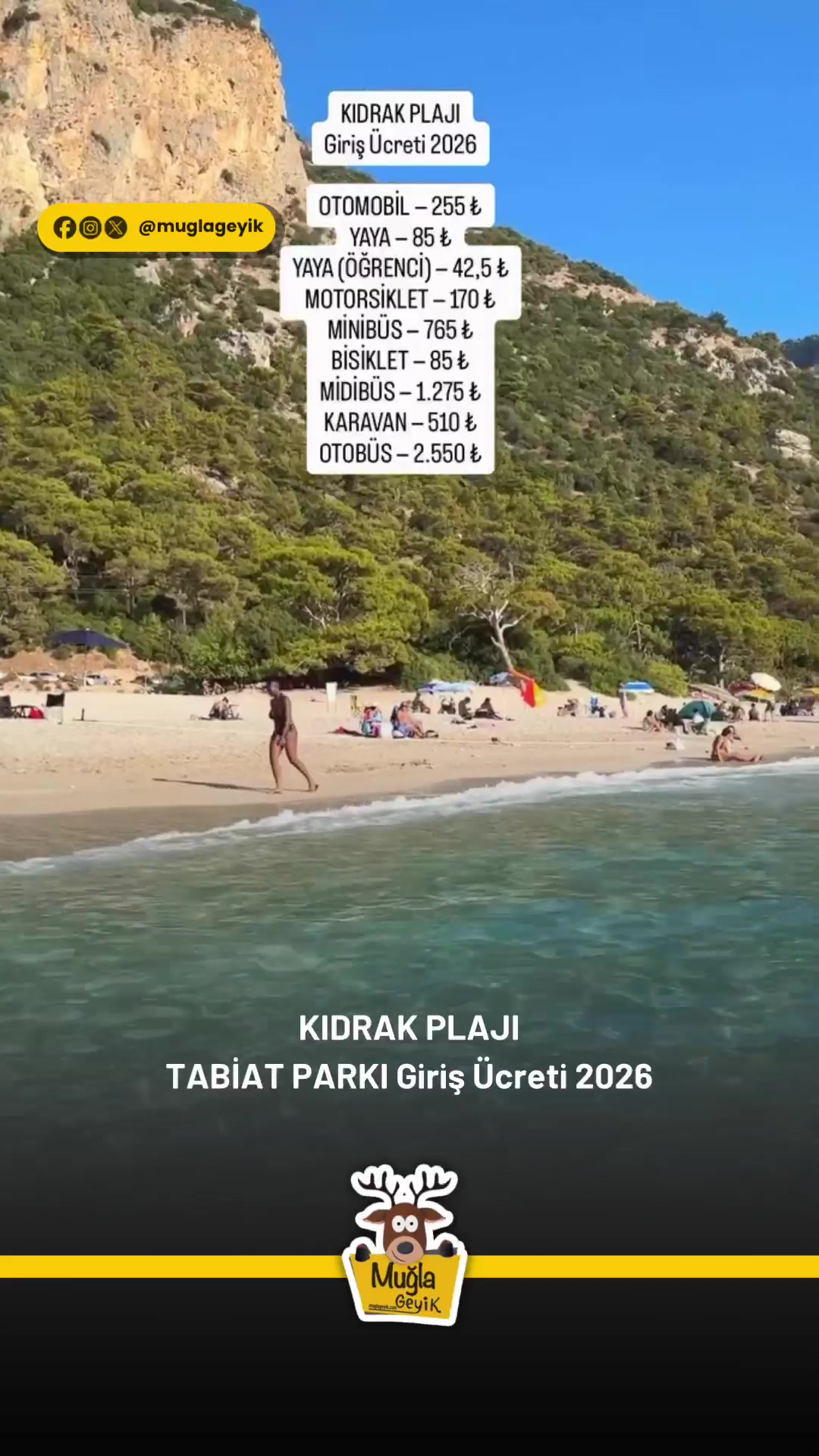@Muğla Geyik