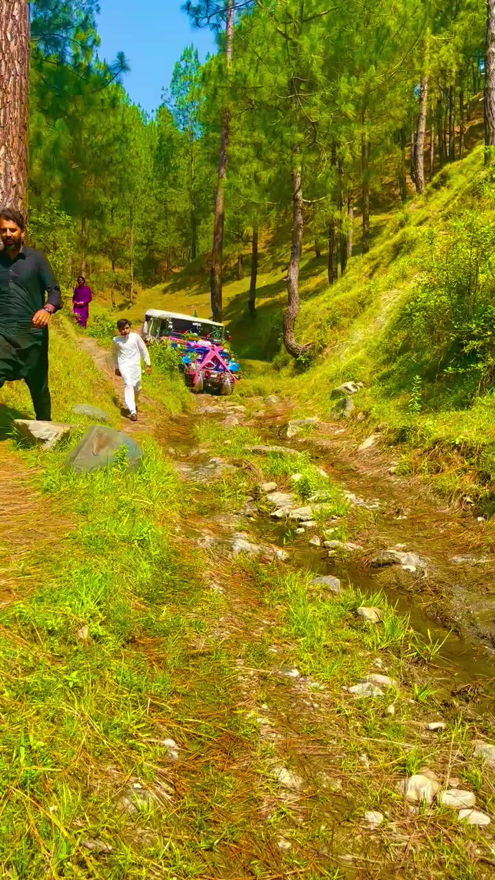 @ch.rohan3374