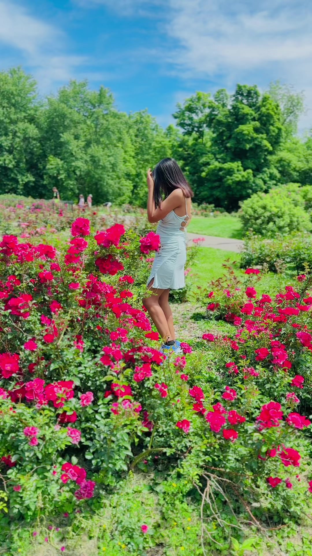 @🧚🏽♀️🌻