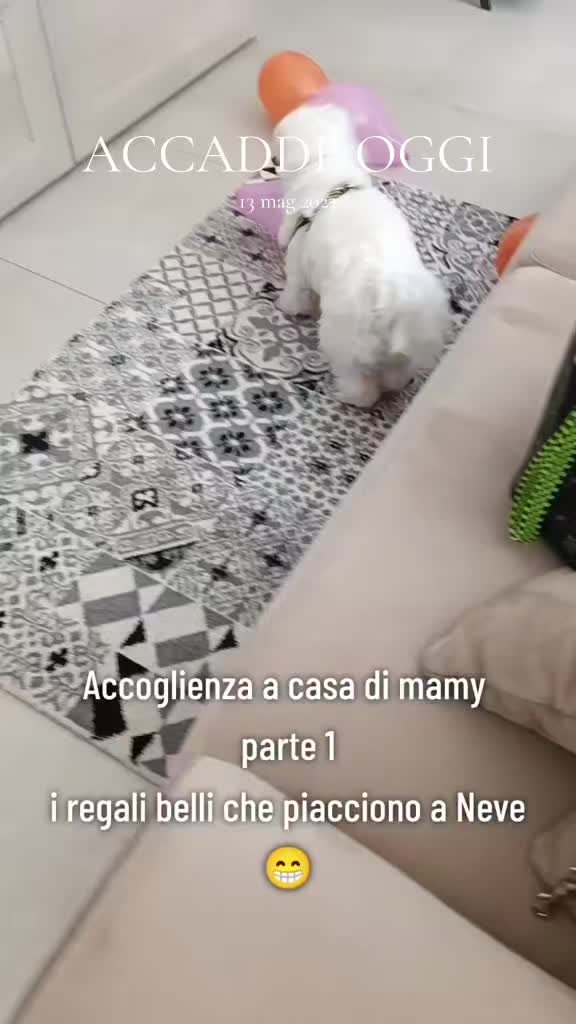 @Tonia E Neve ❤️