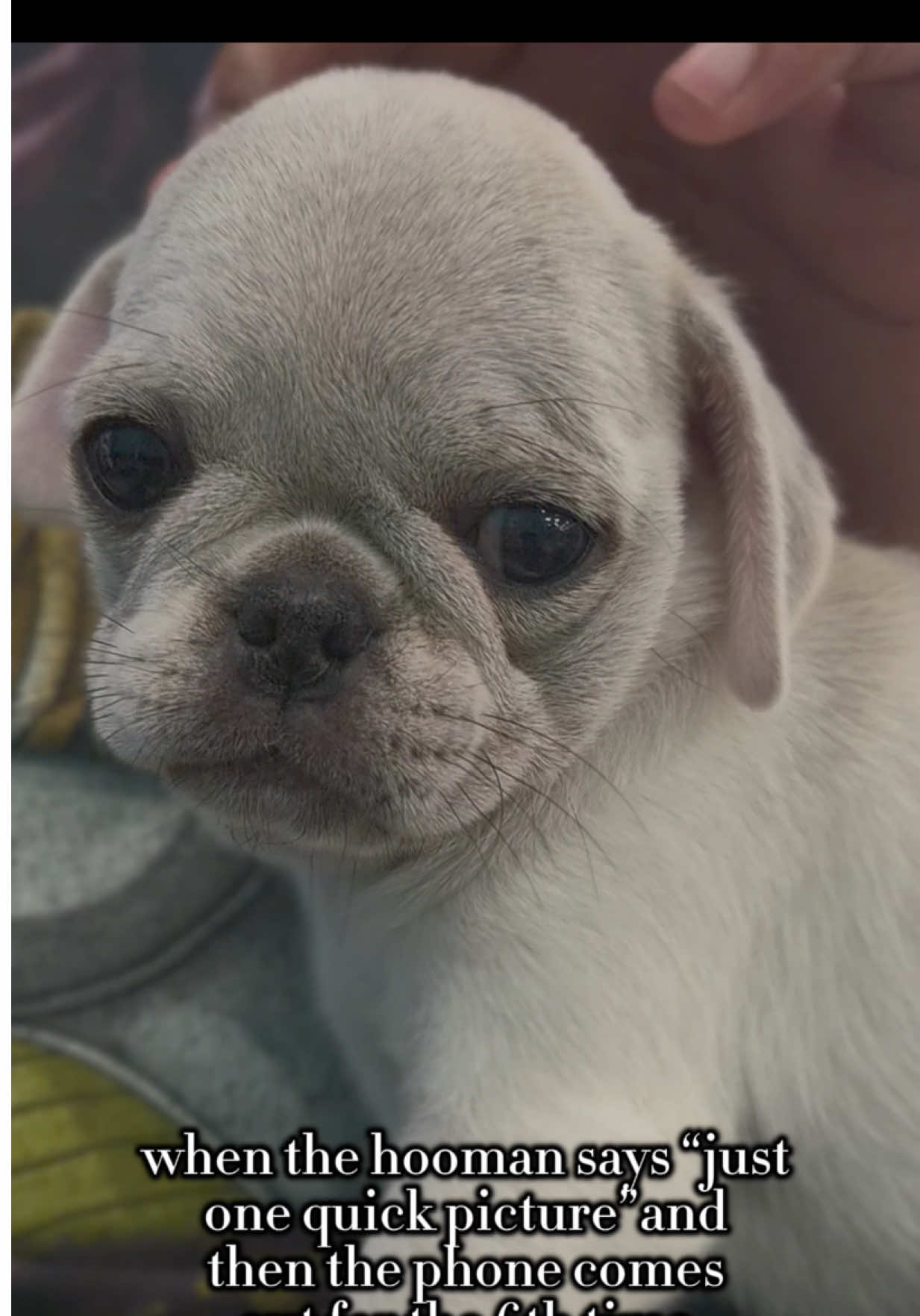 @Petland Oklahoma City