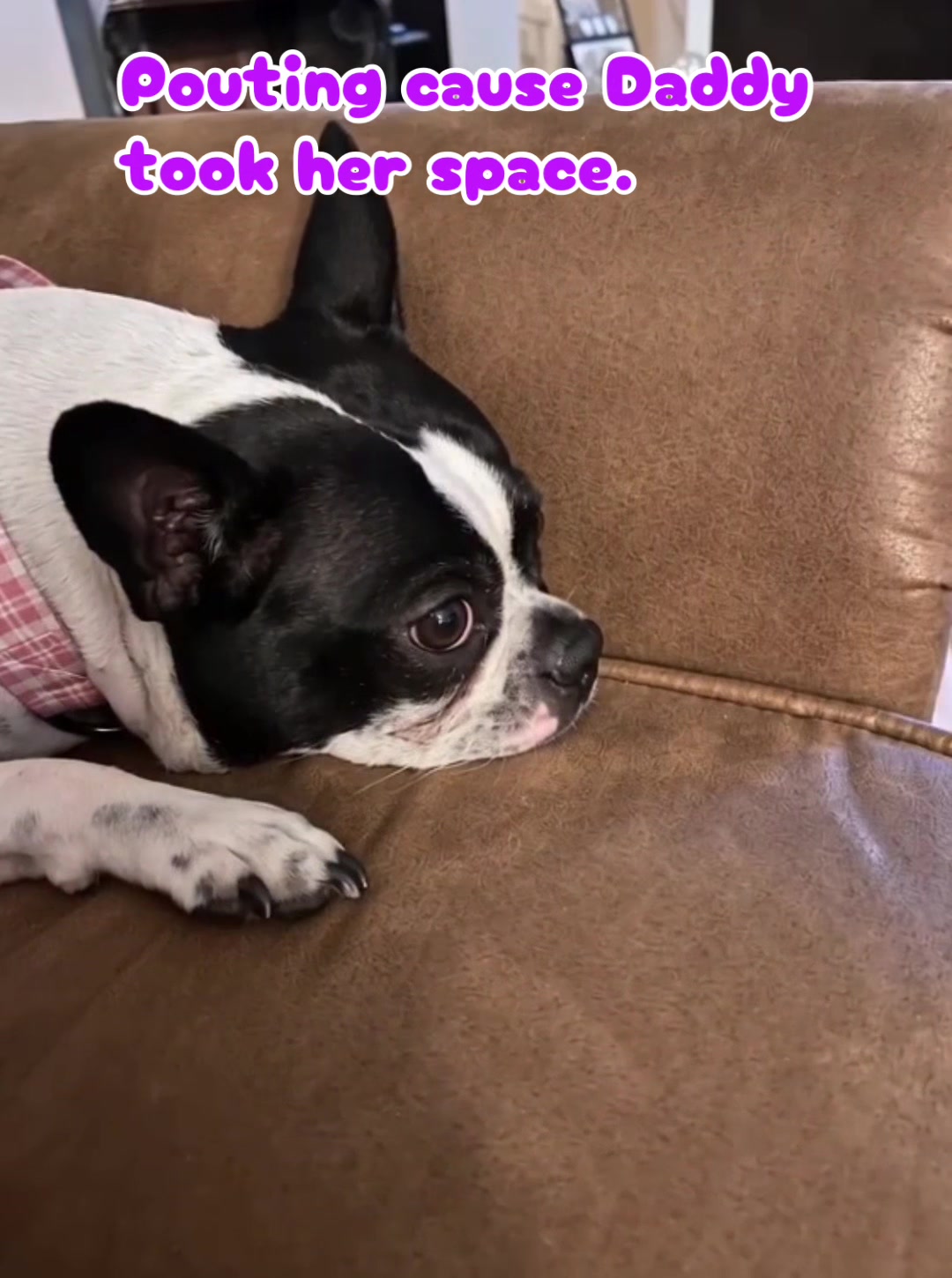 @lynda_satx