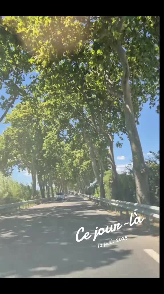 @Rose et Armure