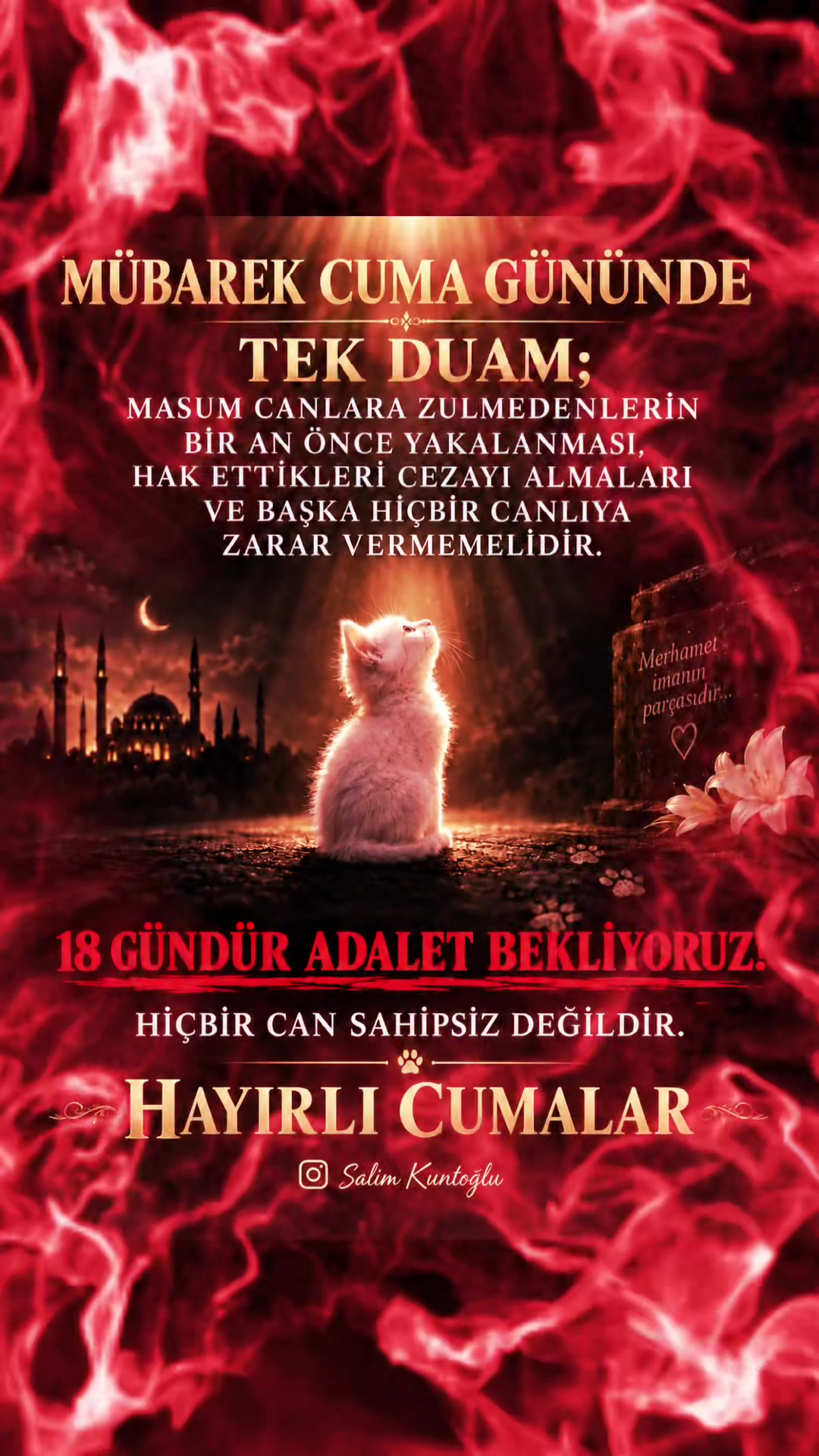 @Salim Kuntoğlu