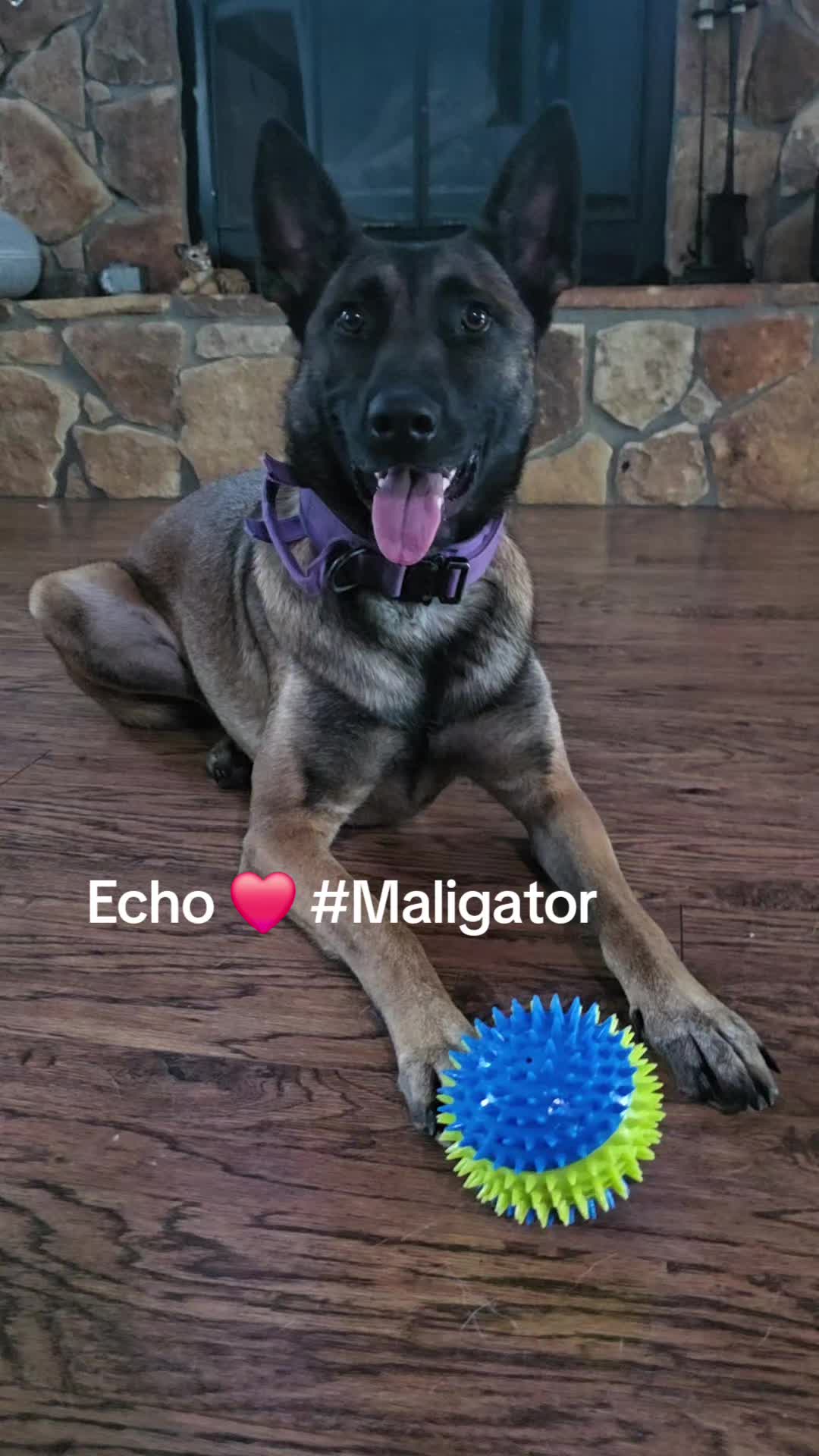 @Echo!
