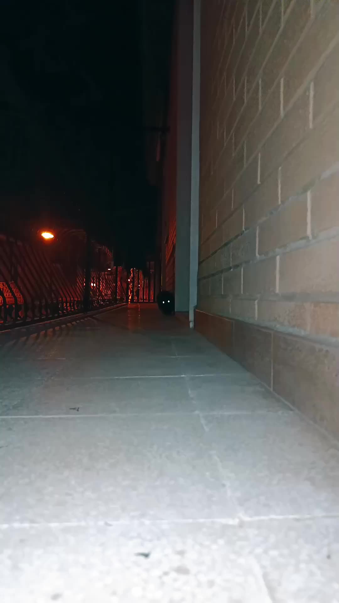 @ciratamburro
