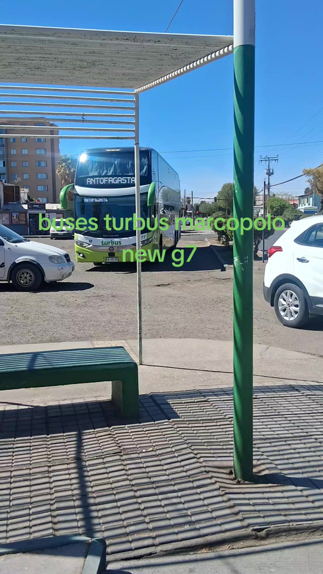 @Busología renato 😎