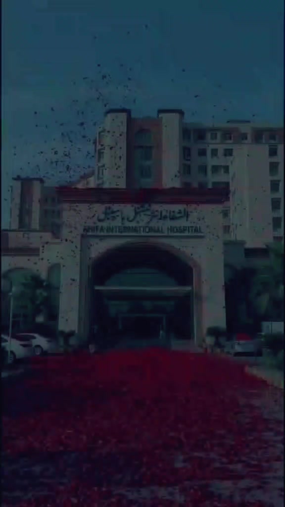 @umair2462