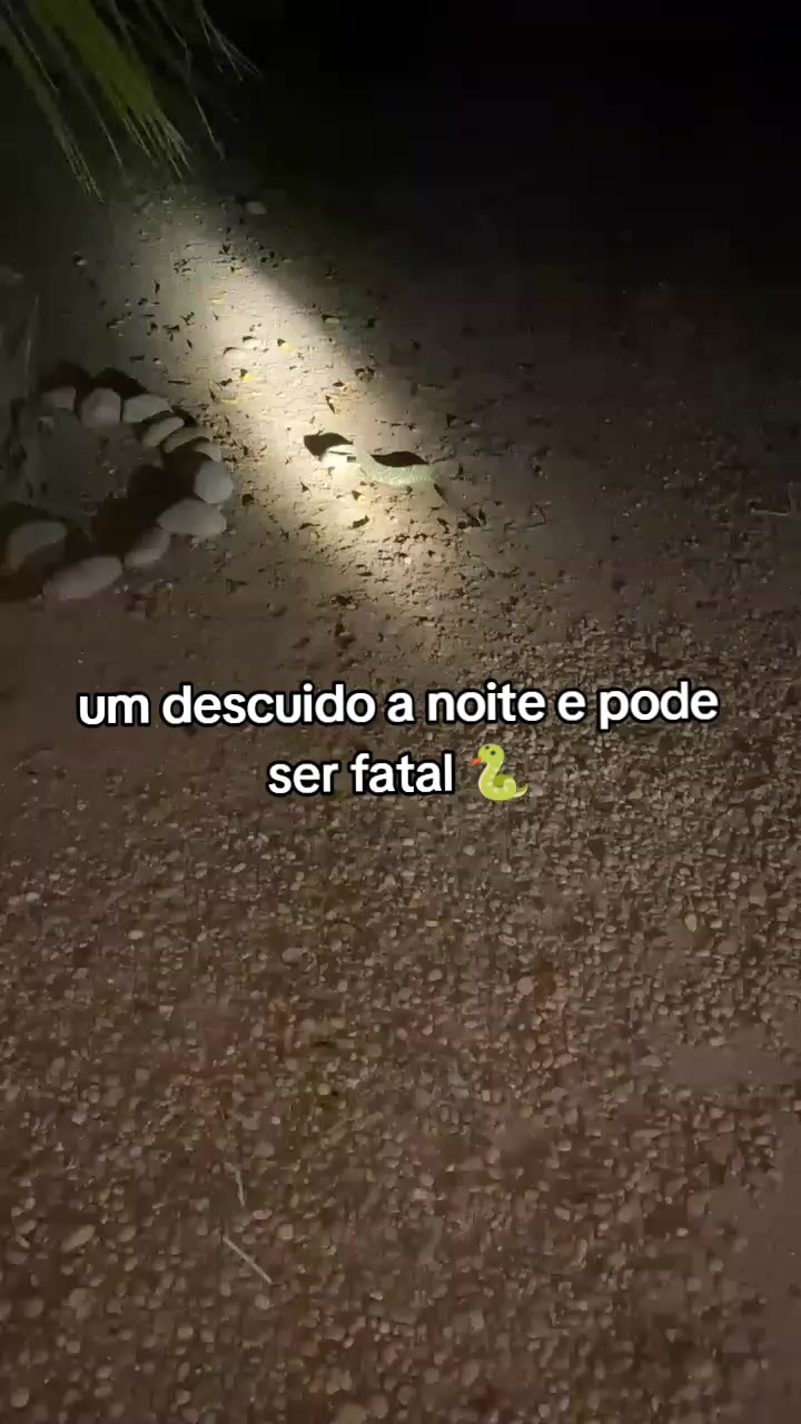 @ÍNDIO DO AGRO 🚜🌱