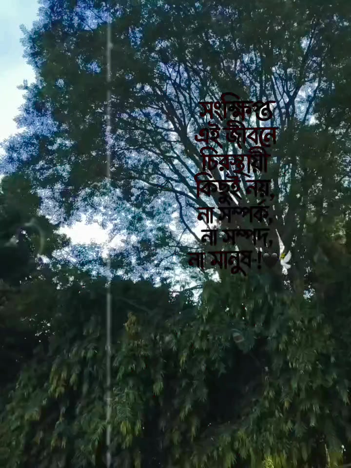 @P U S P O 🥀🥀