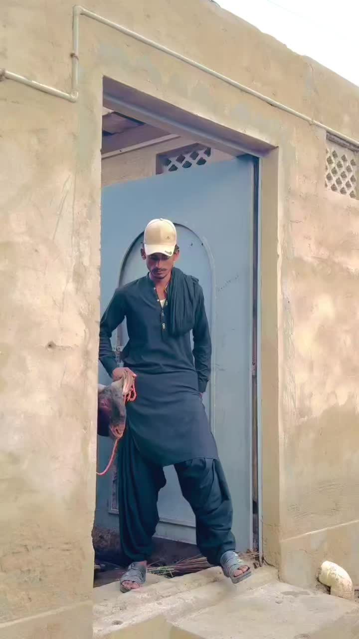 @✨.زاهد سولنگي واپاري. 🐐
