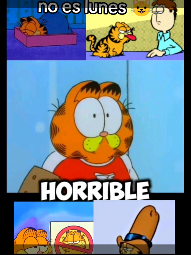 @monsterplus