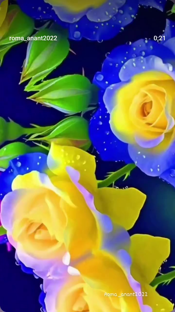 @Binod Ram