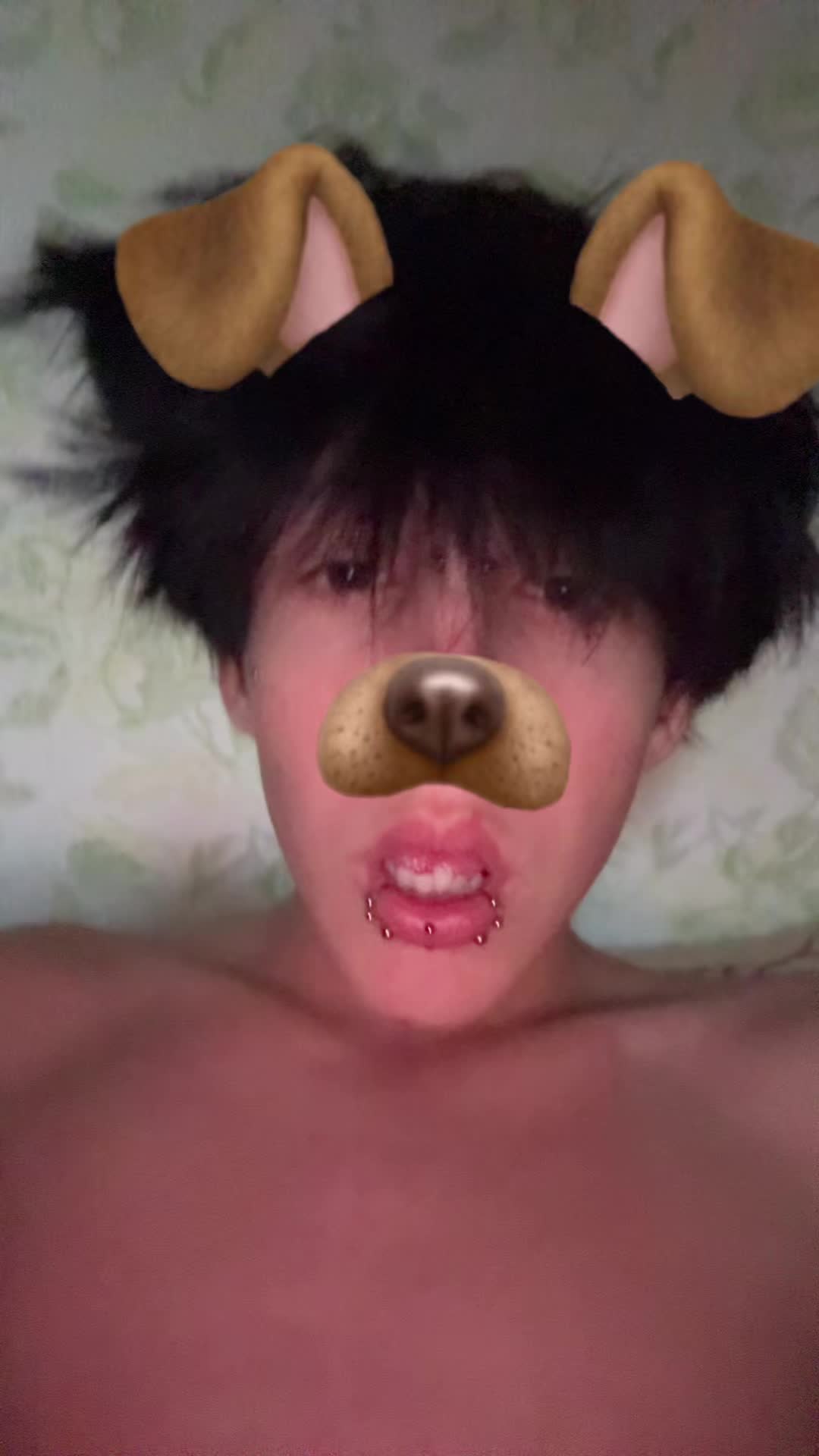 @zzombakk