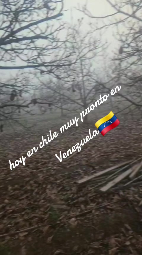 @negrita
