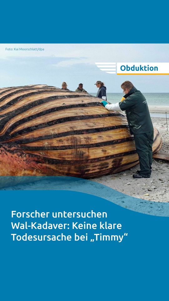 @Nordkurier
