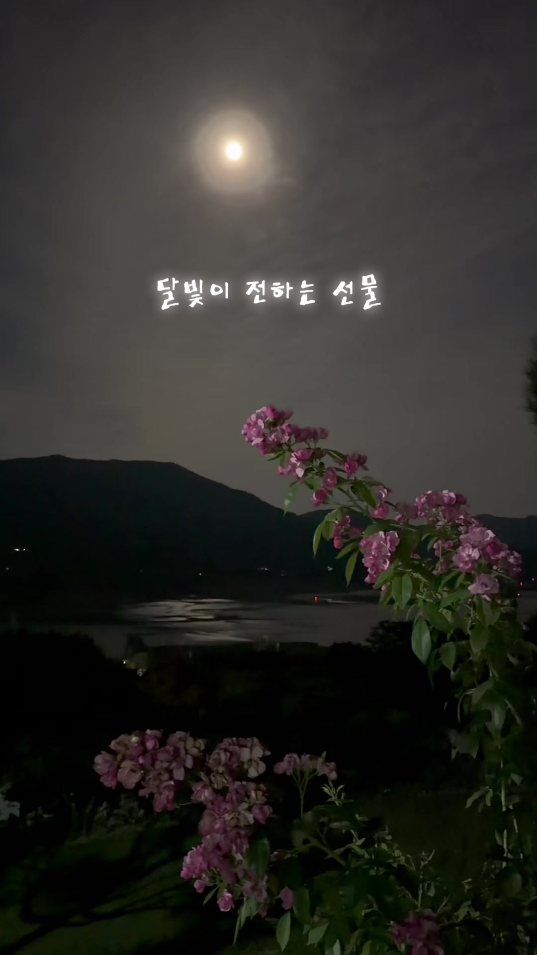 @윤서연 🇰🇷