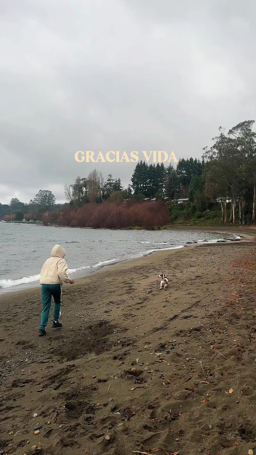 @Paola andara