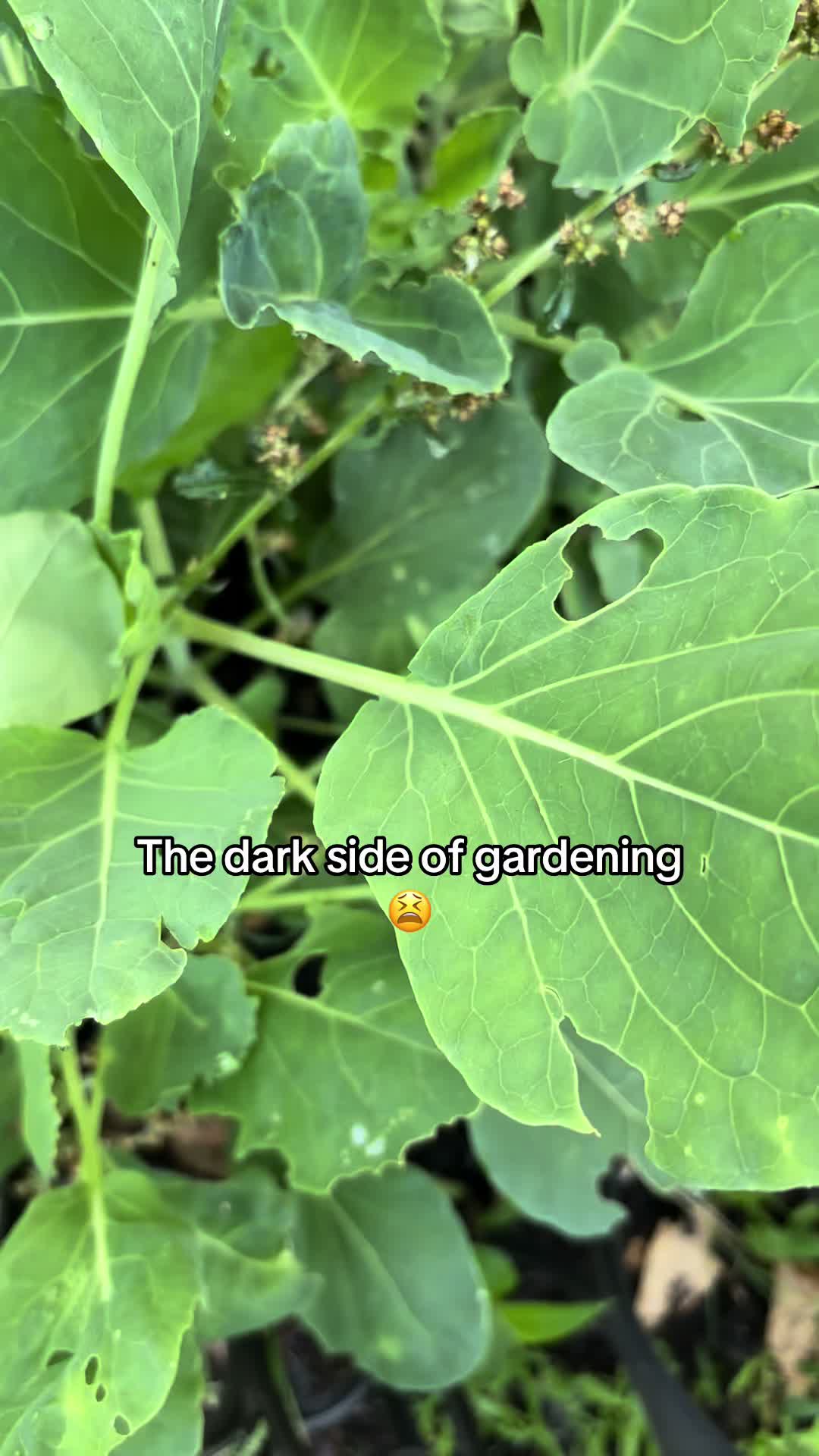 @ConsciousCrafting