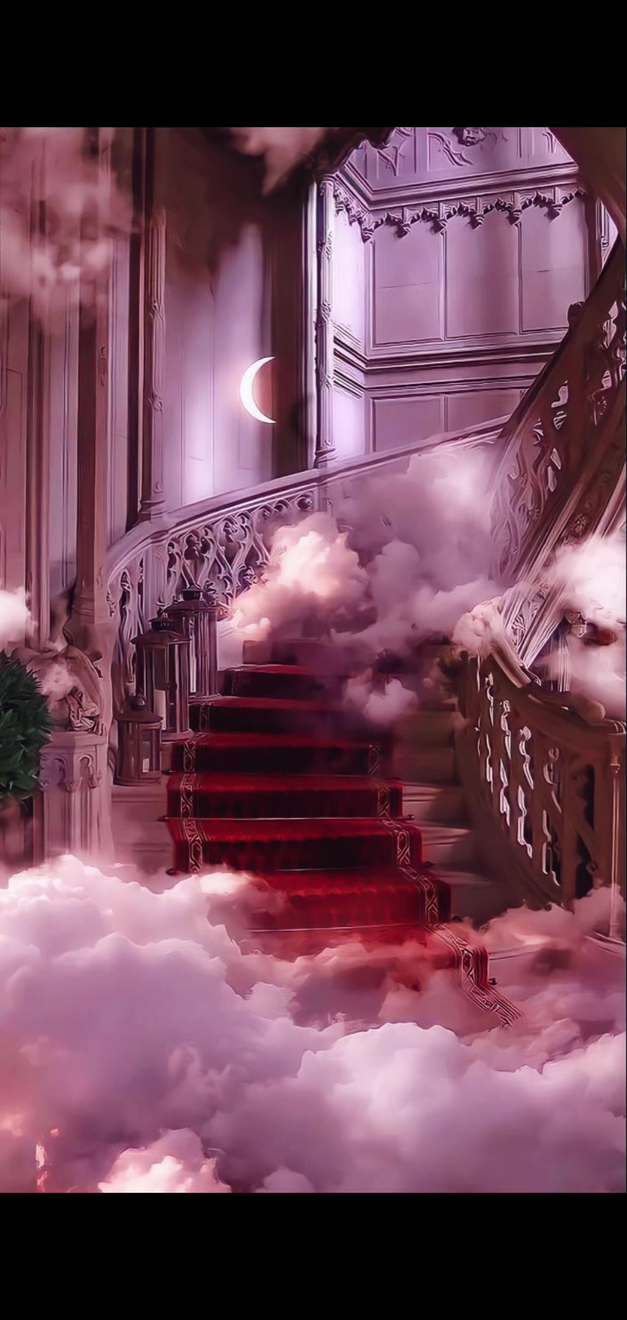 @ꨄ𝒂𝒊𝒍𝒆𝒚𝒑𝒆𝒂𝒄𝒆ꨄ