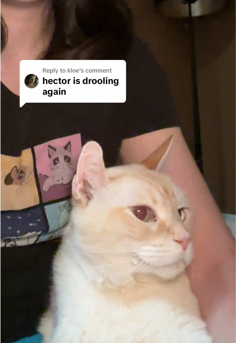 @Angel the Cat Mom