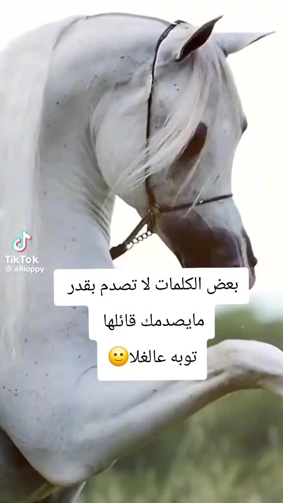 @تہٰۣٚ۬وبہٰۣٚ۬ه عہٰۣٚ۬آلغہٰۣٚلا