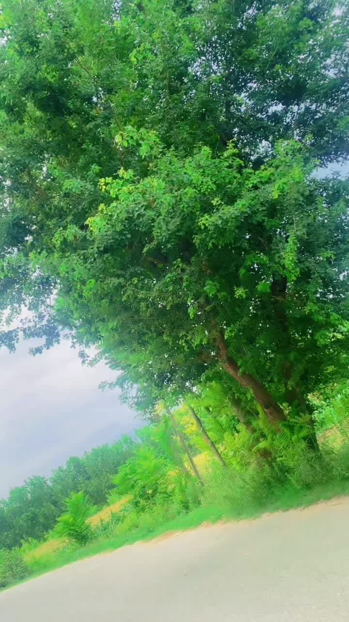 @𝑨🥺𝑨ستا مجنون 🥺