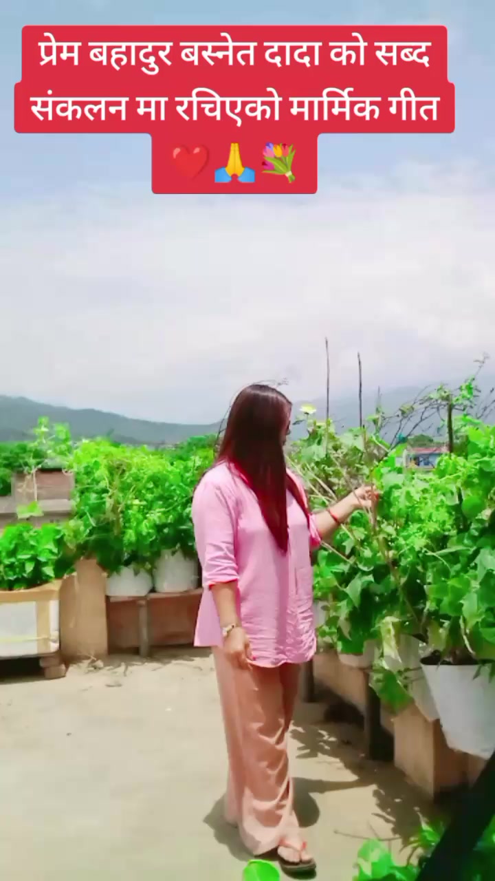 @Kalpana dangol
