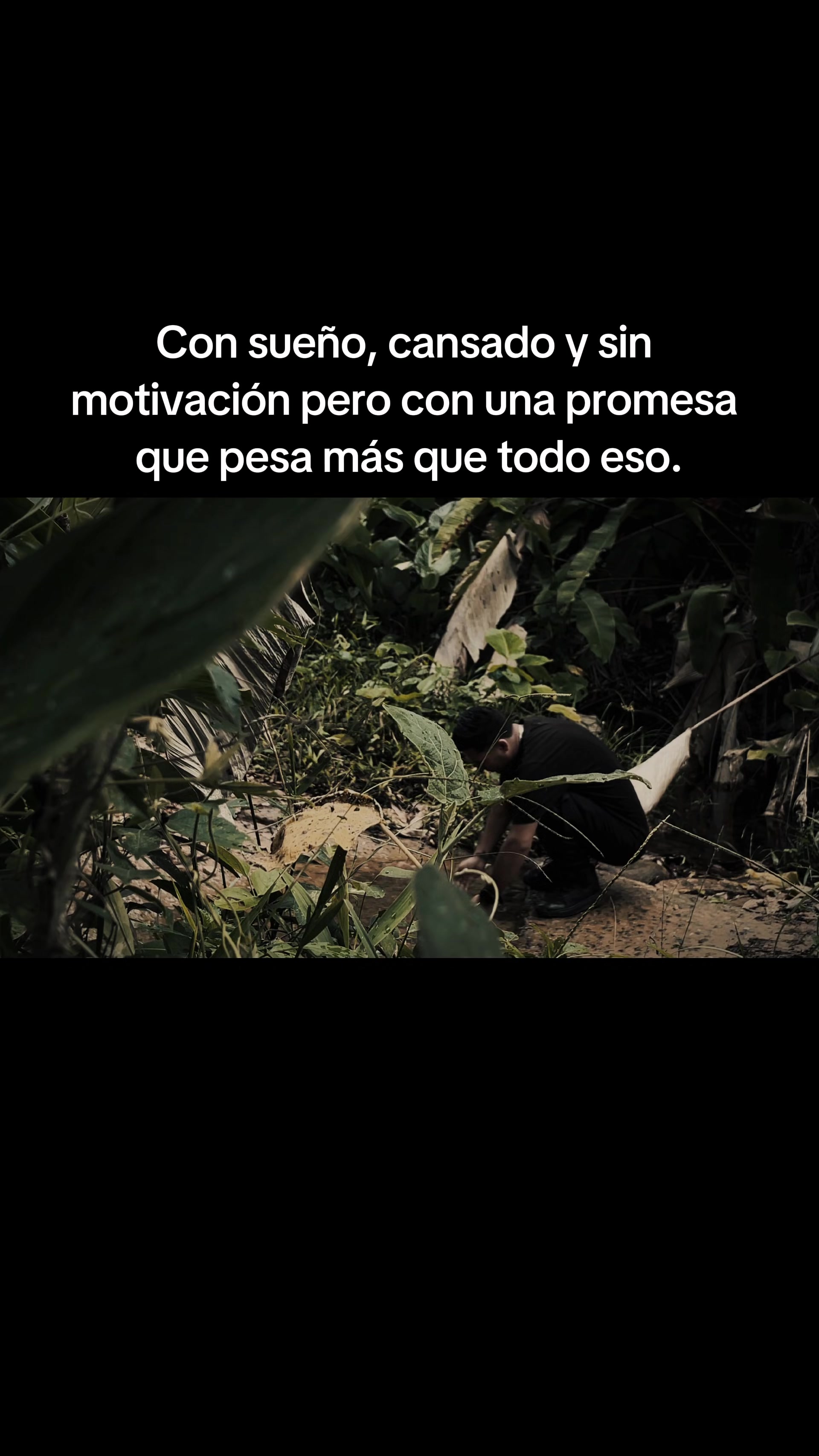 @El-Comis El Rey de la Realidad