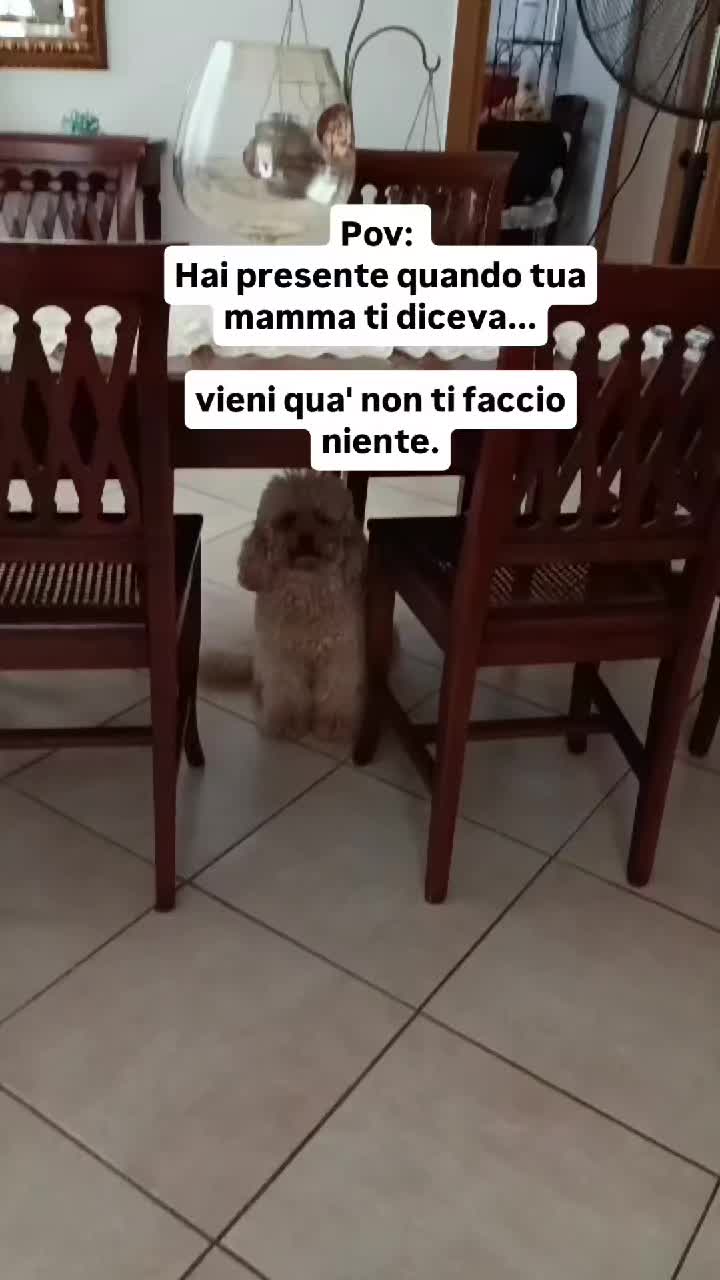 @Momenti Deliziosi