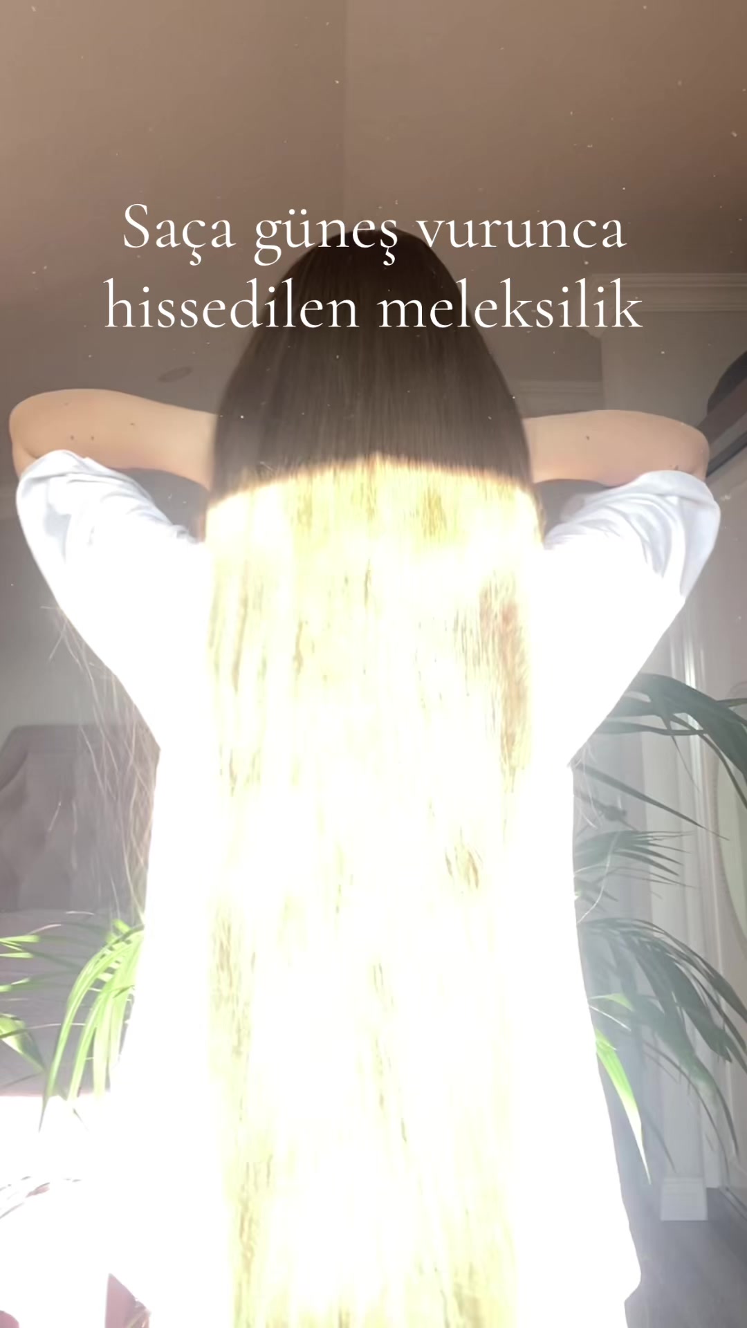 @Süt reçeli