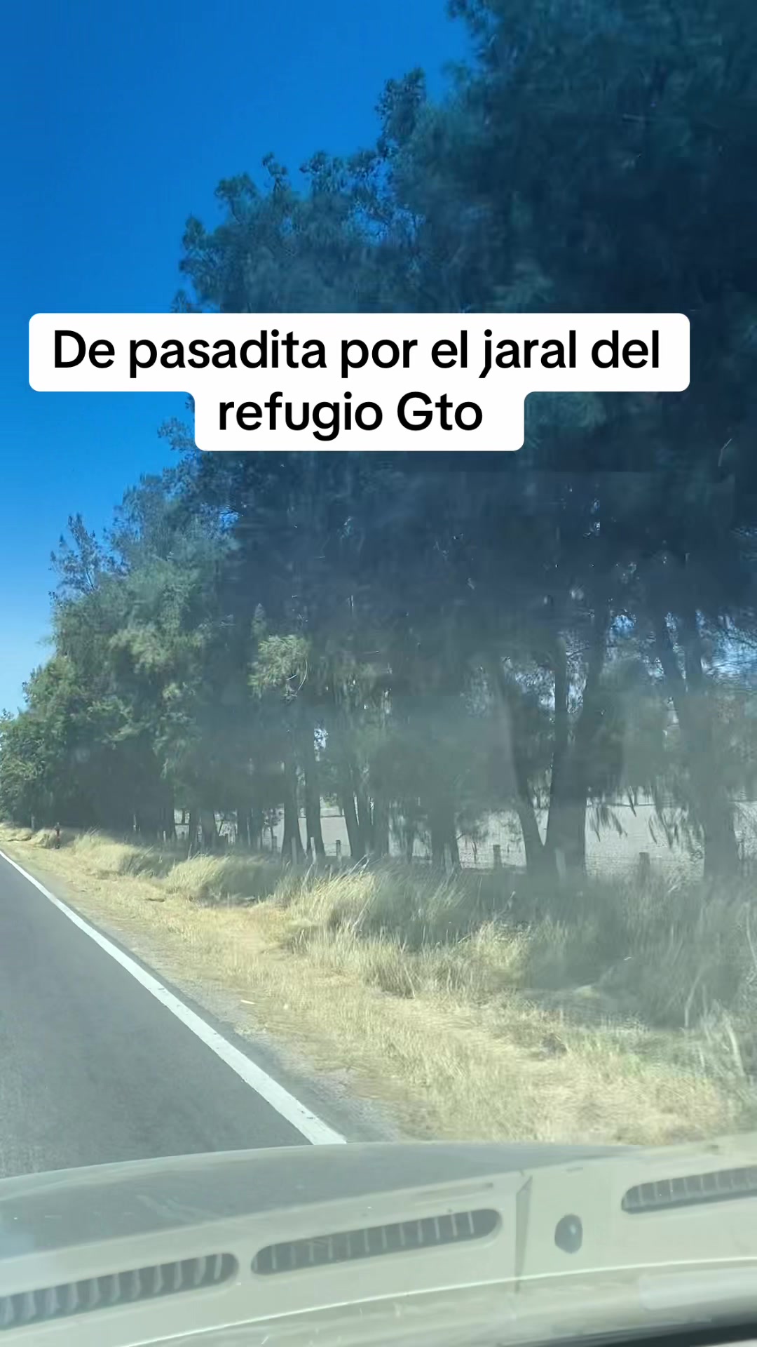@antonysaavedra55