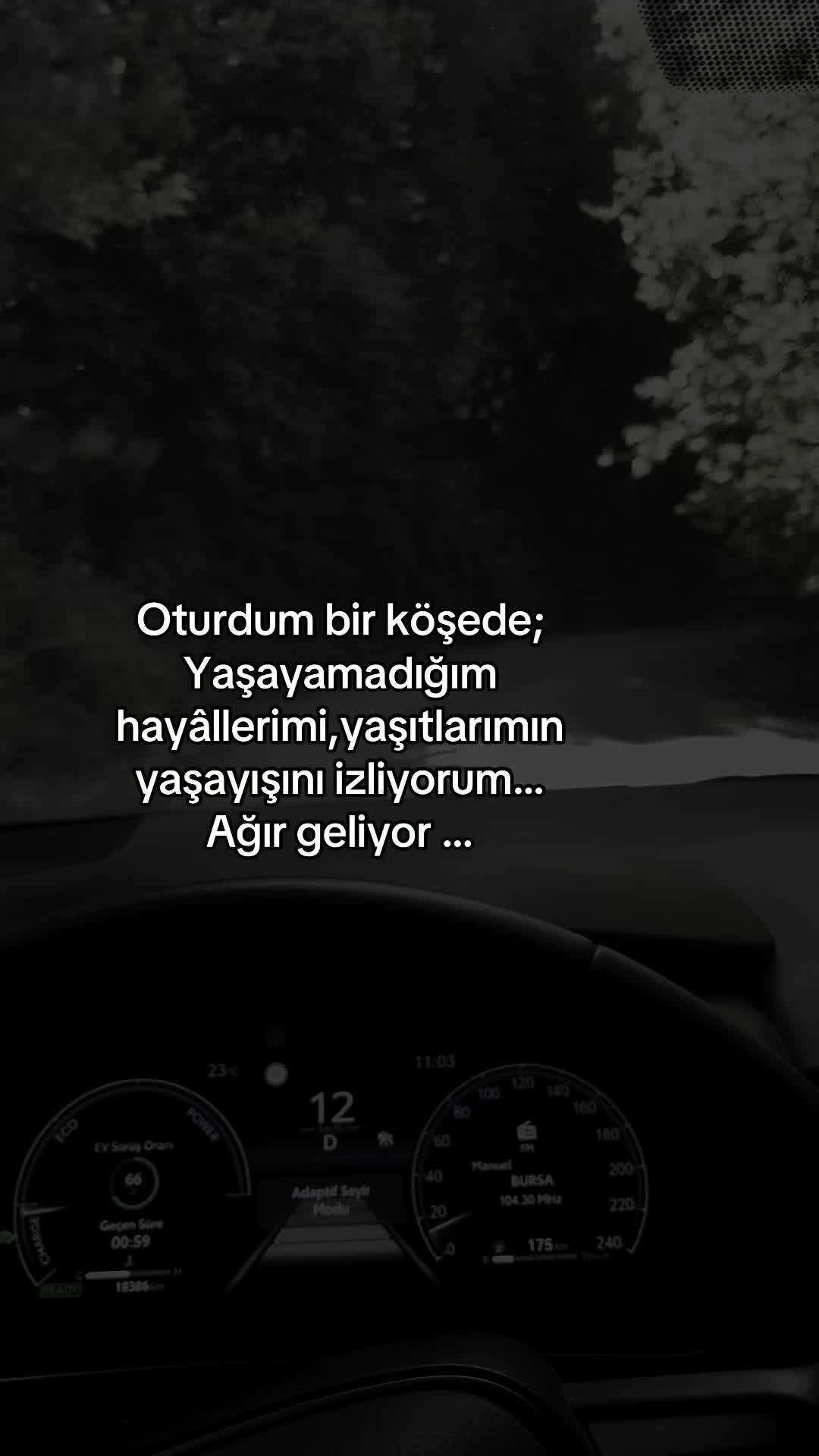 @asil_diva