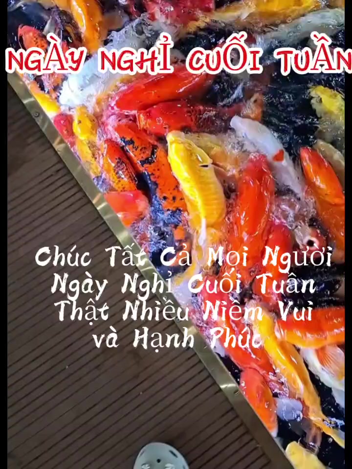 @Nhung 79 ☘️