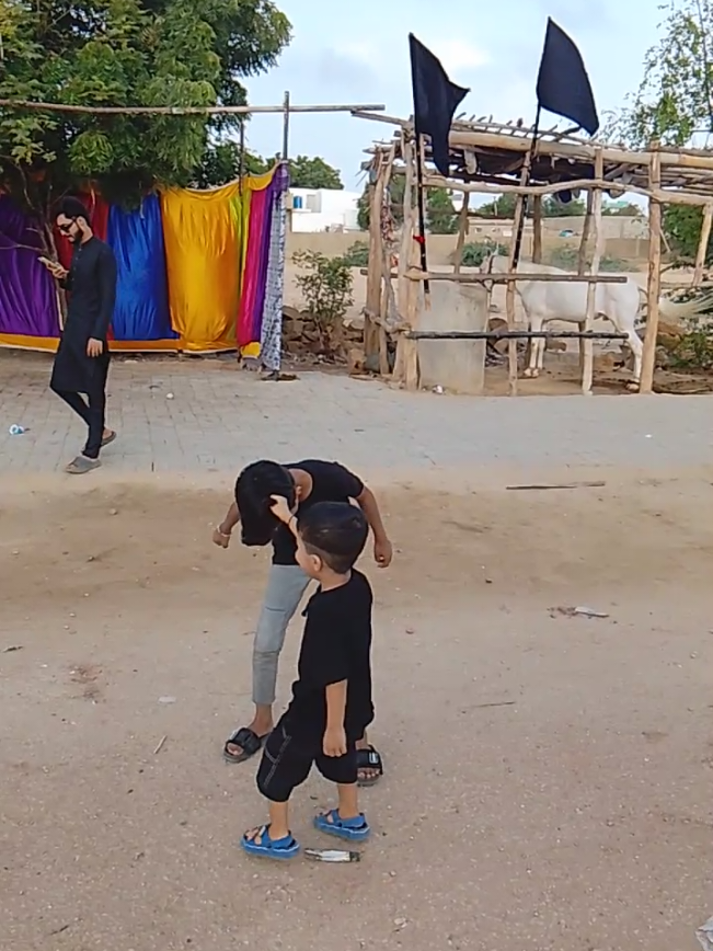 @ayannaqvi602
