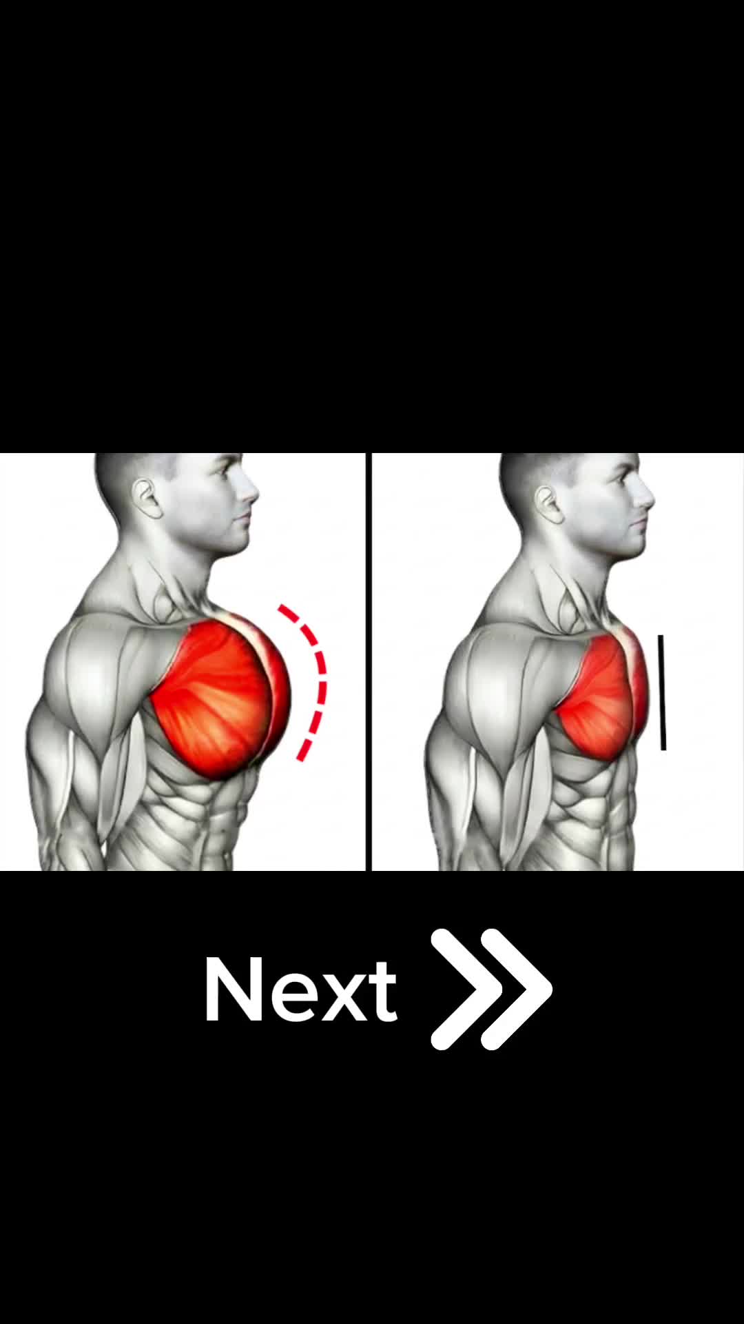 @Mendy Fitness