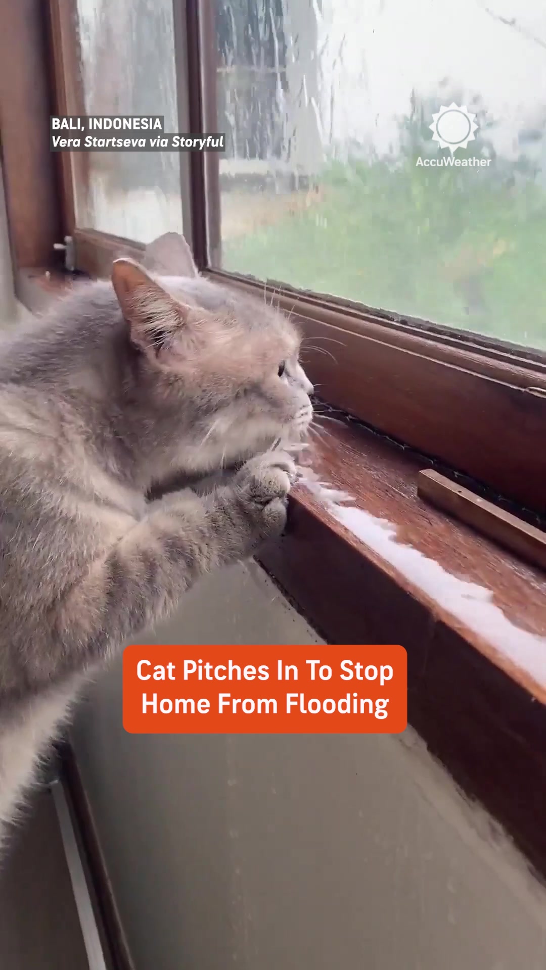 @AccuWeather