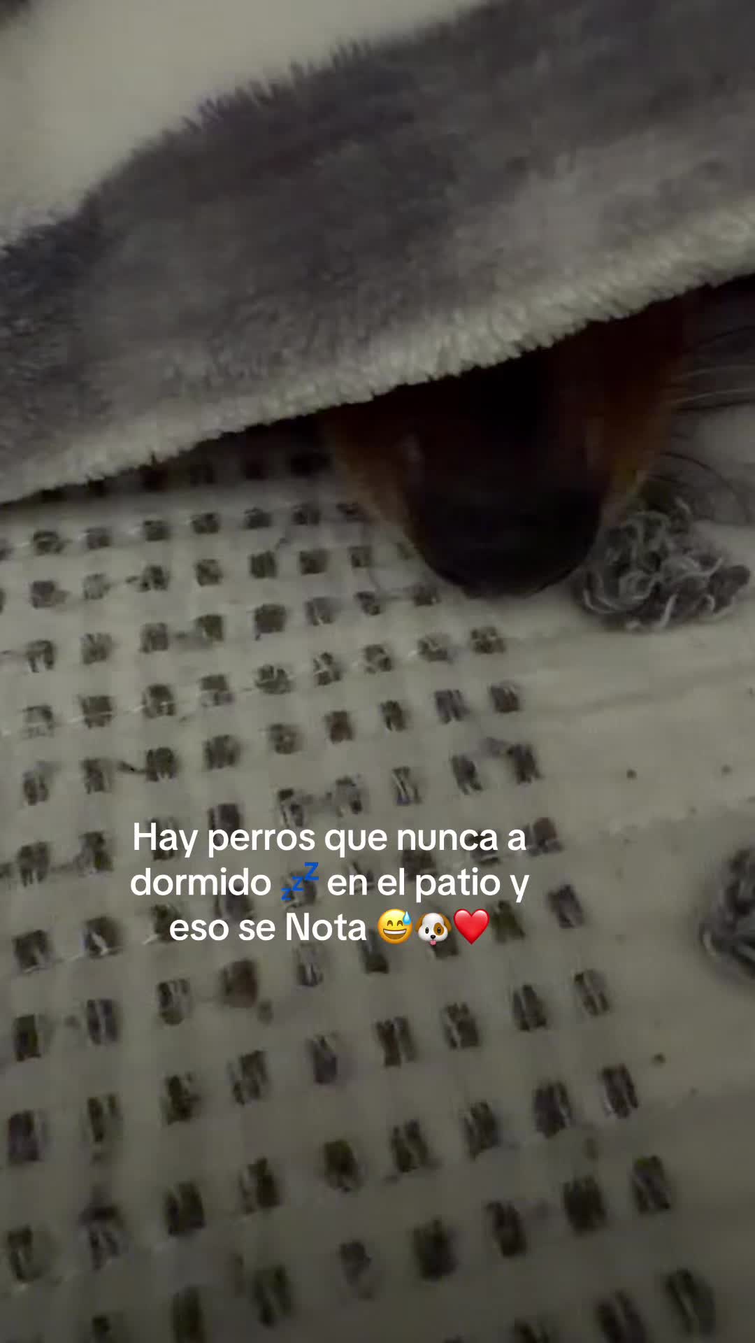 @Angie❤️