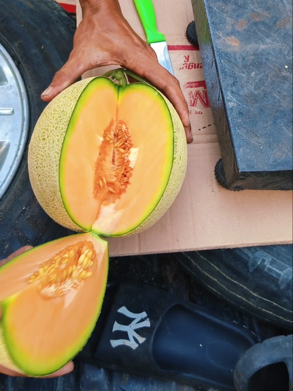 @Pecinta Buah PKY